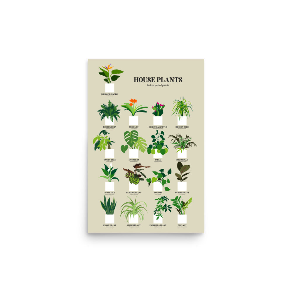 House Plants Print