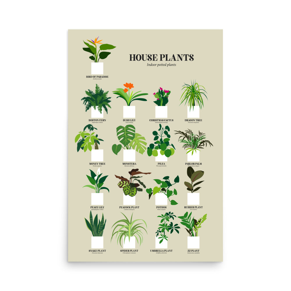 House Plants Print